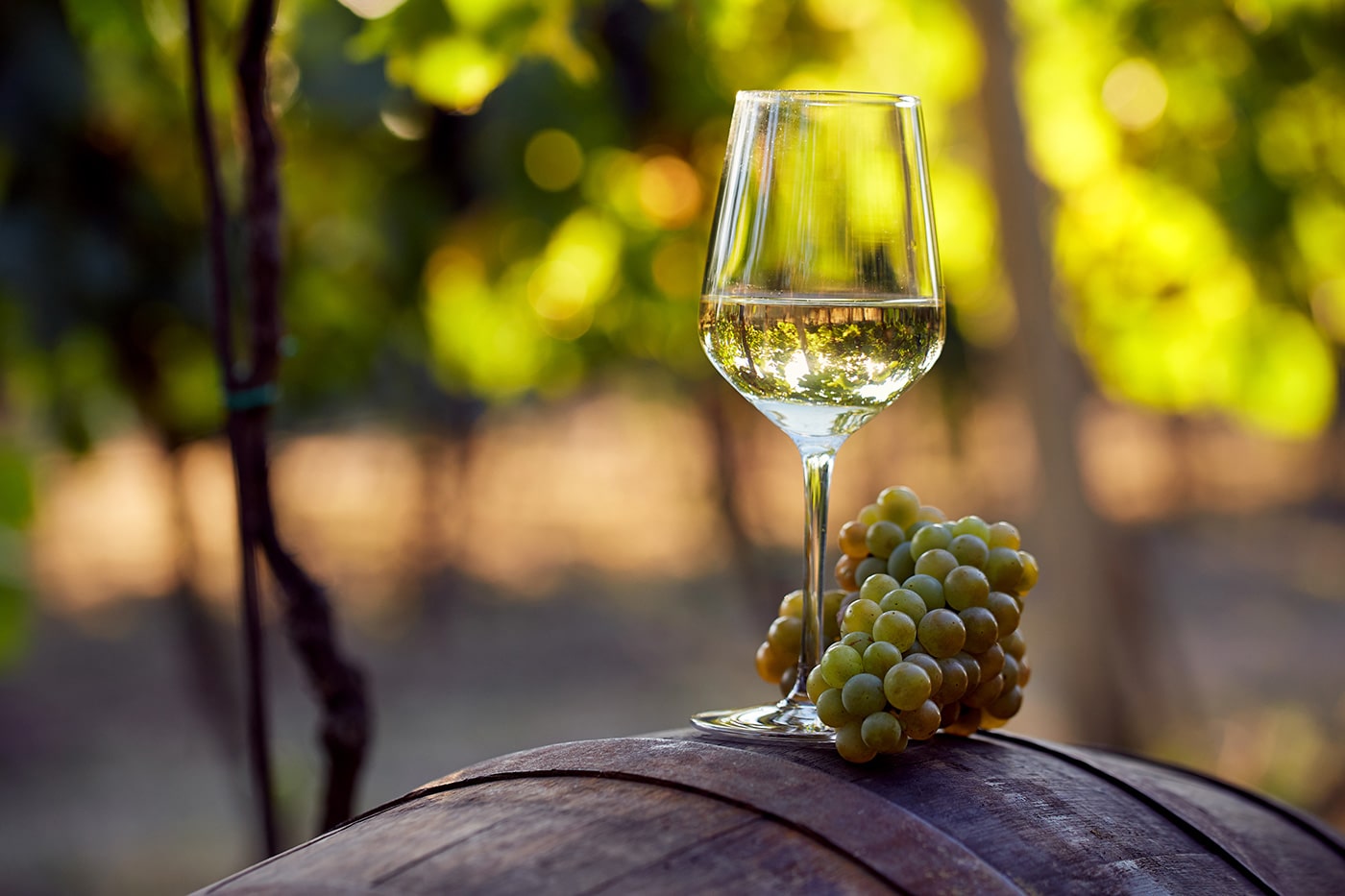 Im Online-Shop vom Weingut Schauß finden Sie vorzügliche edelsüße Weine aus Monzingen